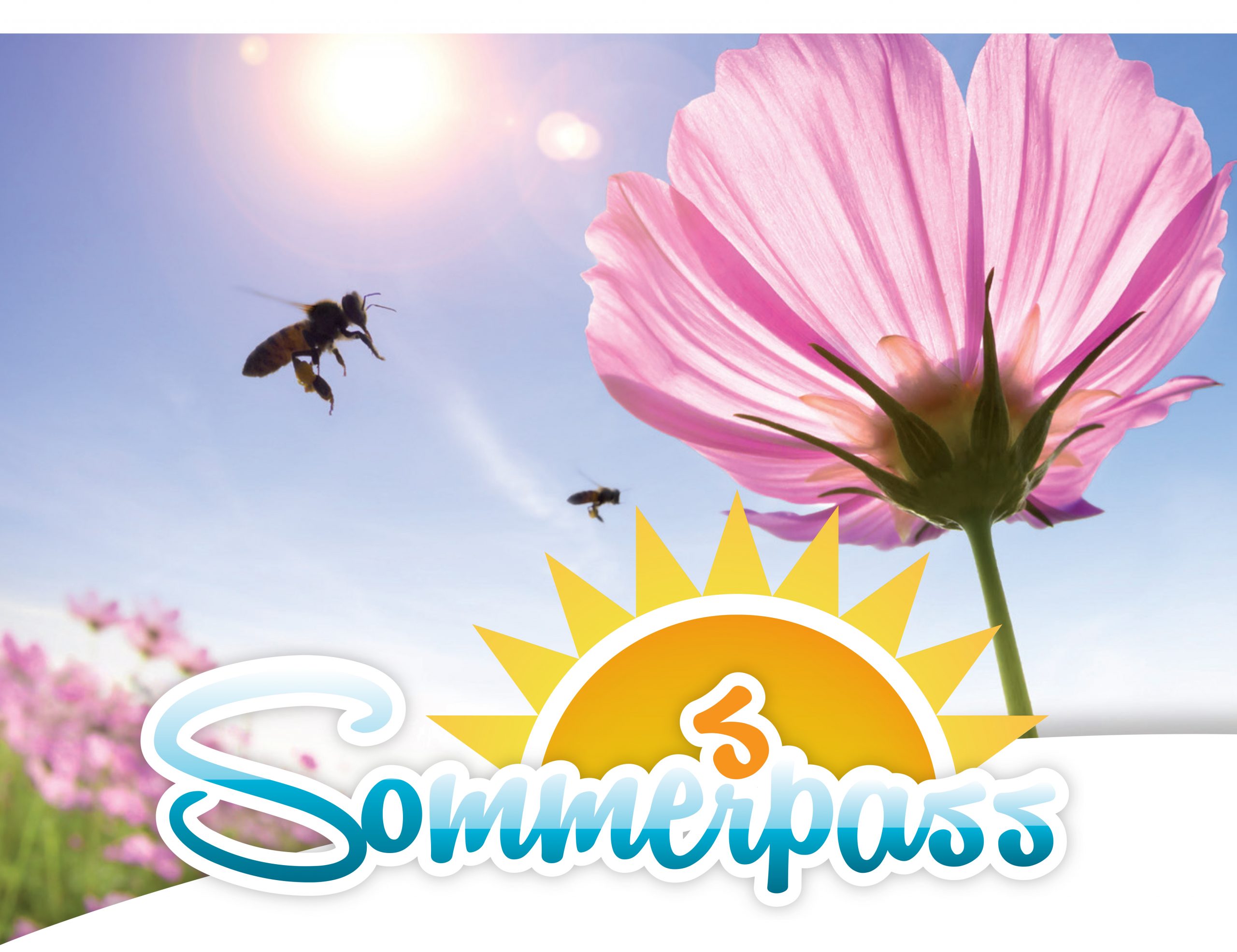 Sommer(s)pass Verkauf startet